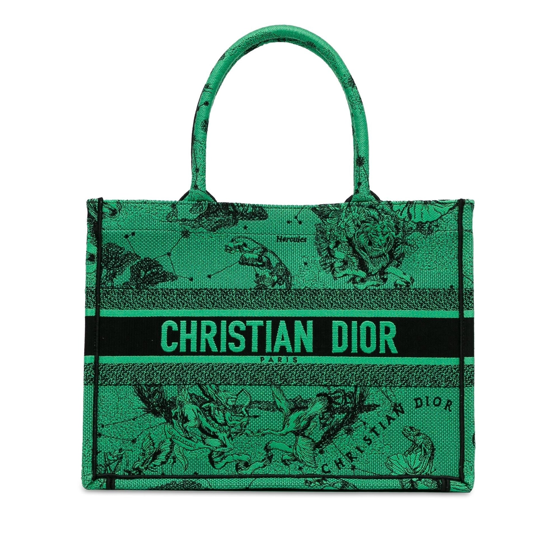 Dior Book Tote Canvas Medium Embroidered Tote Bag