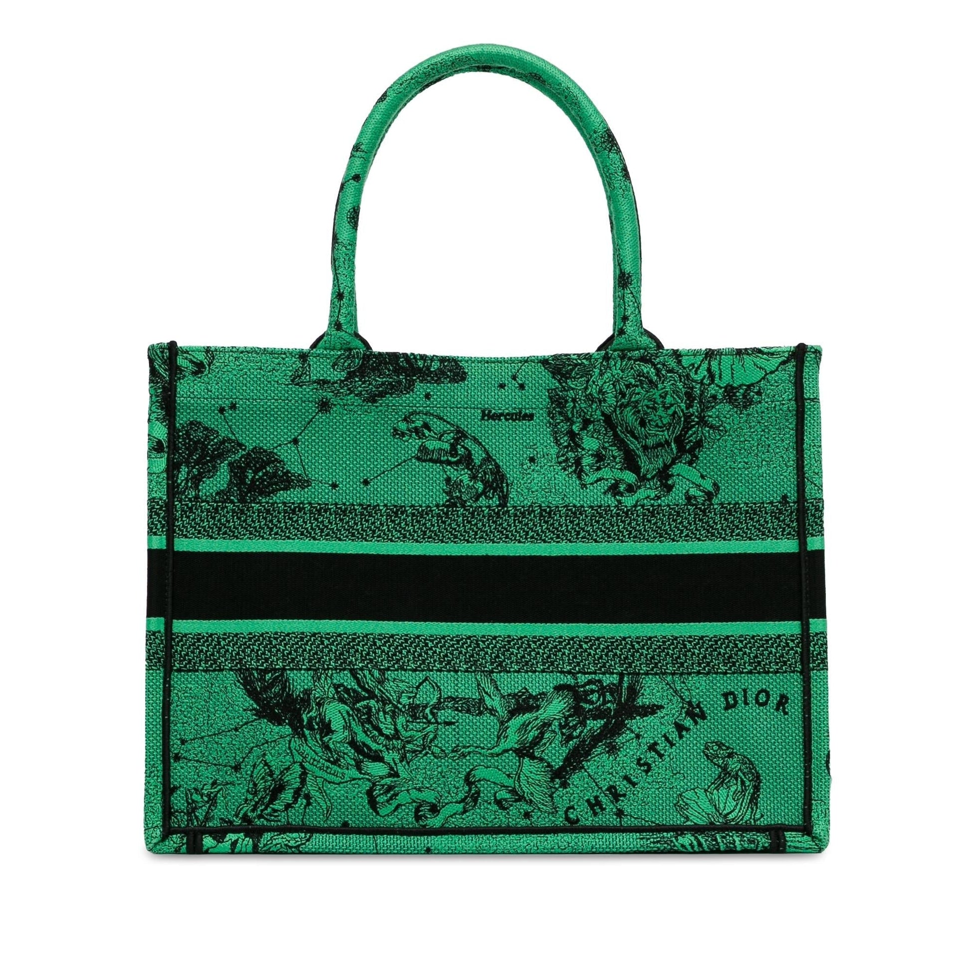 Dior Book Tote Canvas Medium Embroidered Tote Bag Book Tote 2