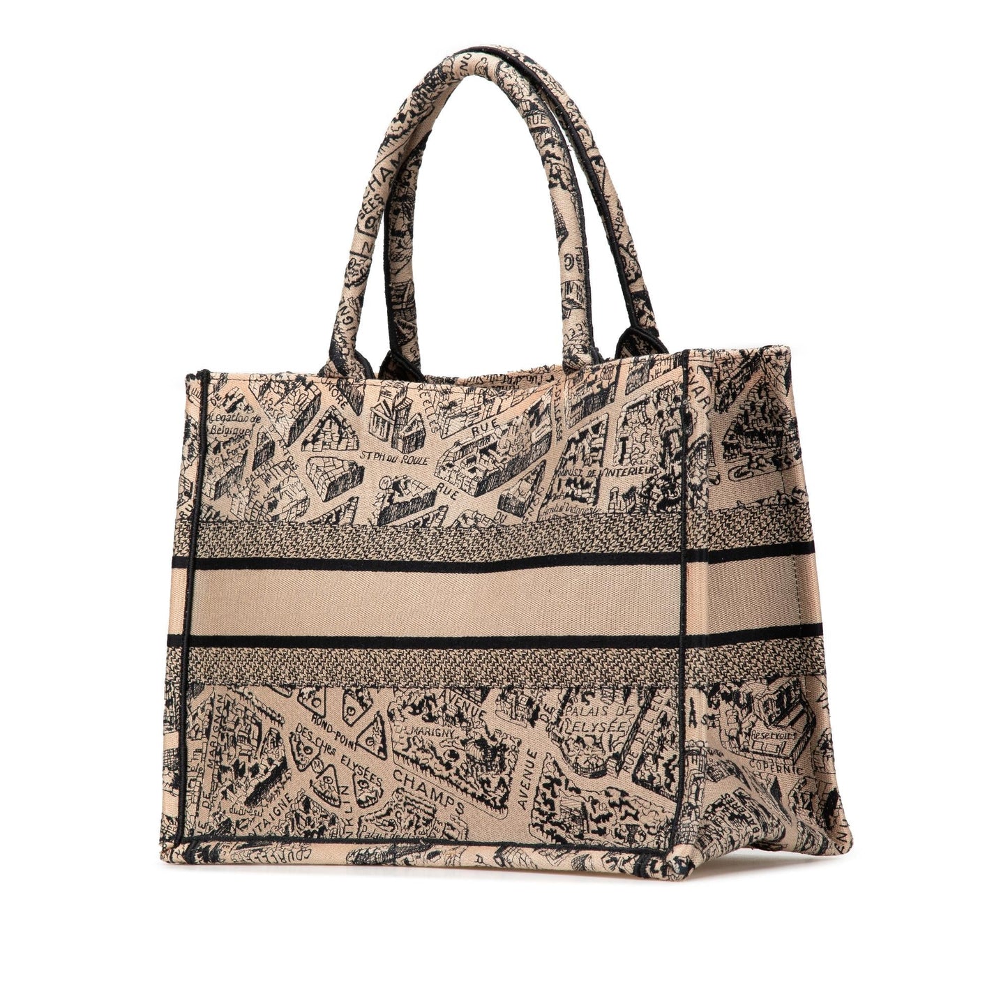 Dior Plan De Paris Book Tote Canvas Medium Embroidered Tote Bag