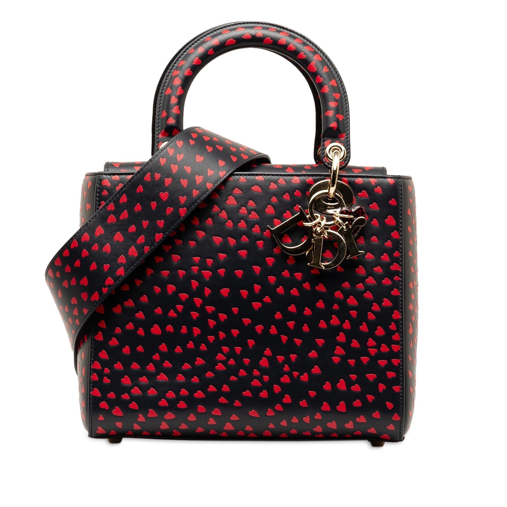 Dior Love Paris Lady Satchel Shg Bettle Medium Satchel Bag