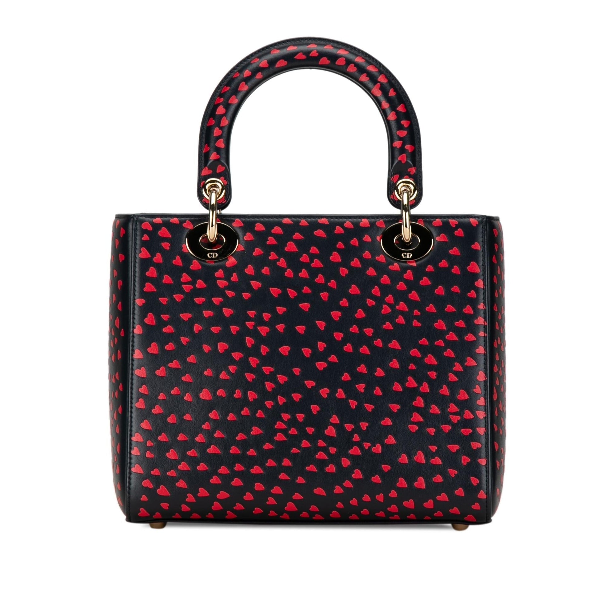 Dior Love Paris Lady Satchel Medium Satchel Bag