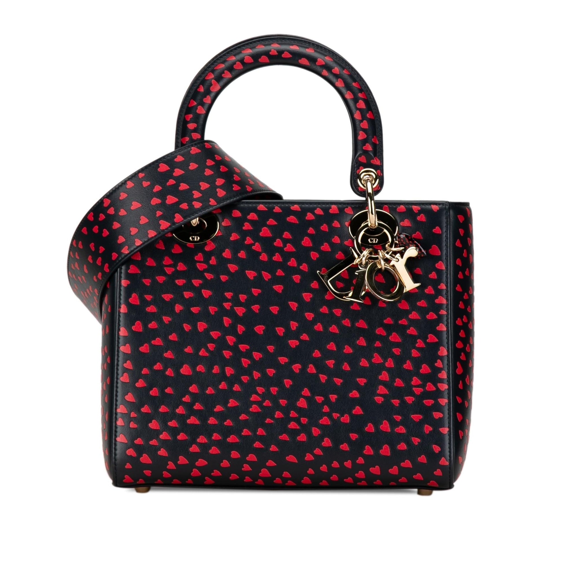 Dior Love Paris Lady Satchel Medium Satchel Bag