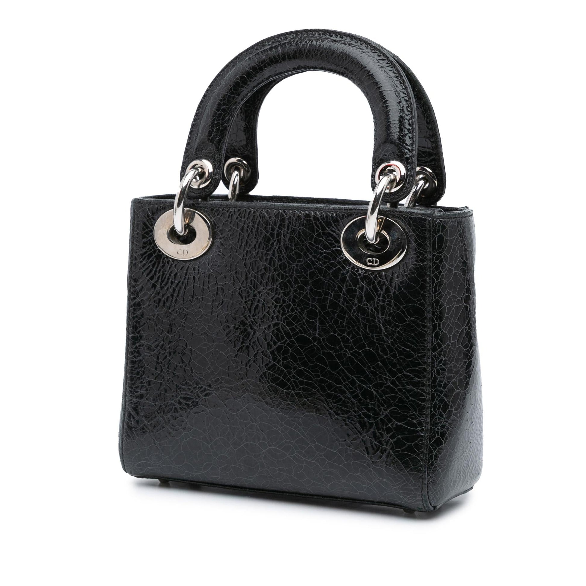 Dior Ceramic Effect Deerskin Jeweled Swan Lady Satchel Bag Mini