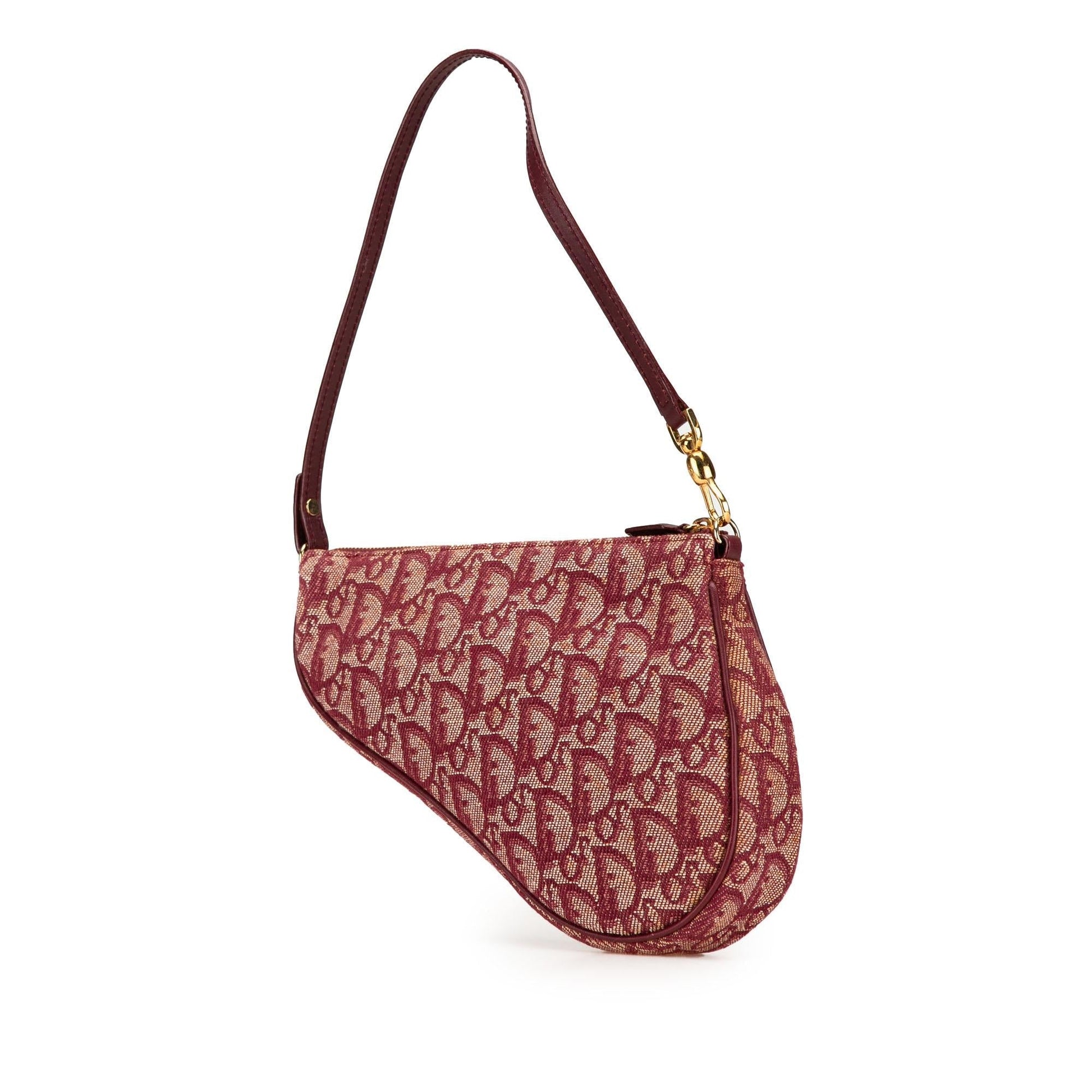 Dior issimo Saddle Pochette Shg Aoq1Tb Shoulder Bag Canvas Mini