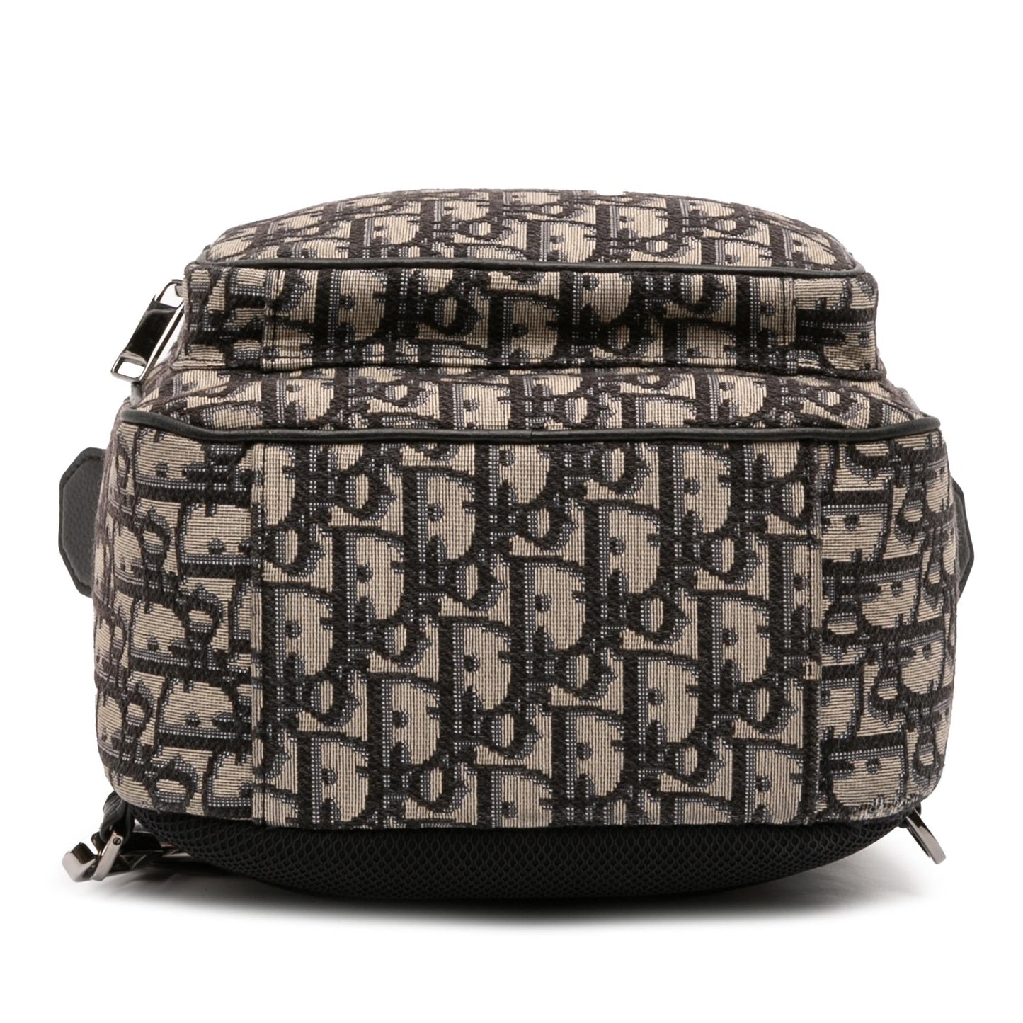 Dior Oblique Rider Sling Bag Canvas Mini Crossbody Bag