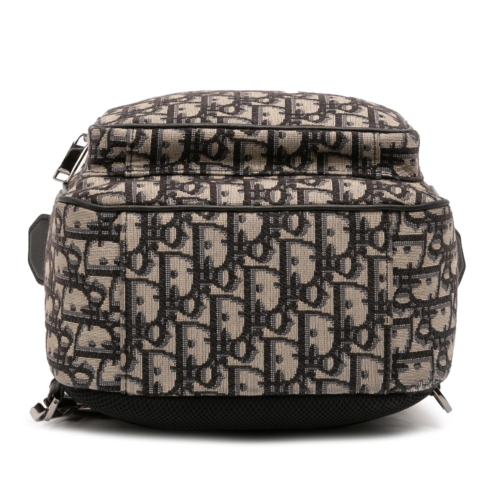 Dior Oblique Rider Sling Bag Canvas Mini Crossbody Bag