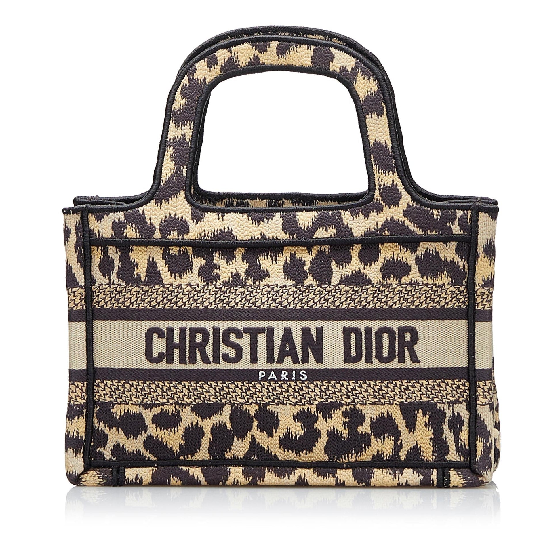 Dior Mizza Book Tote Shg E7M3W3 Mini Tote Bag