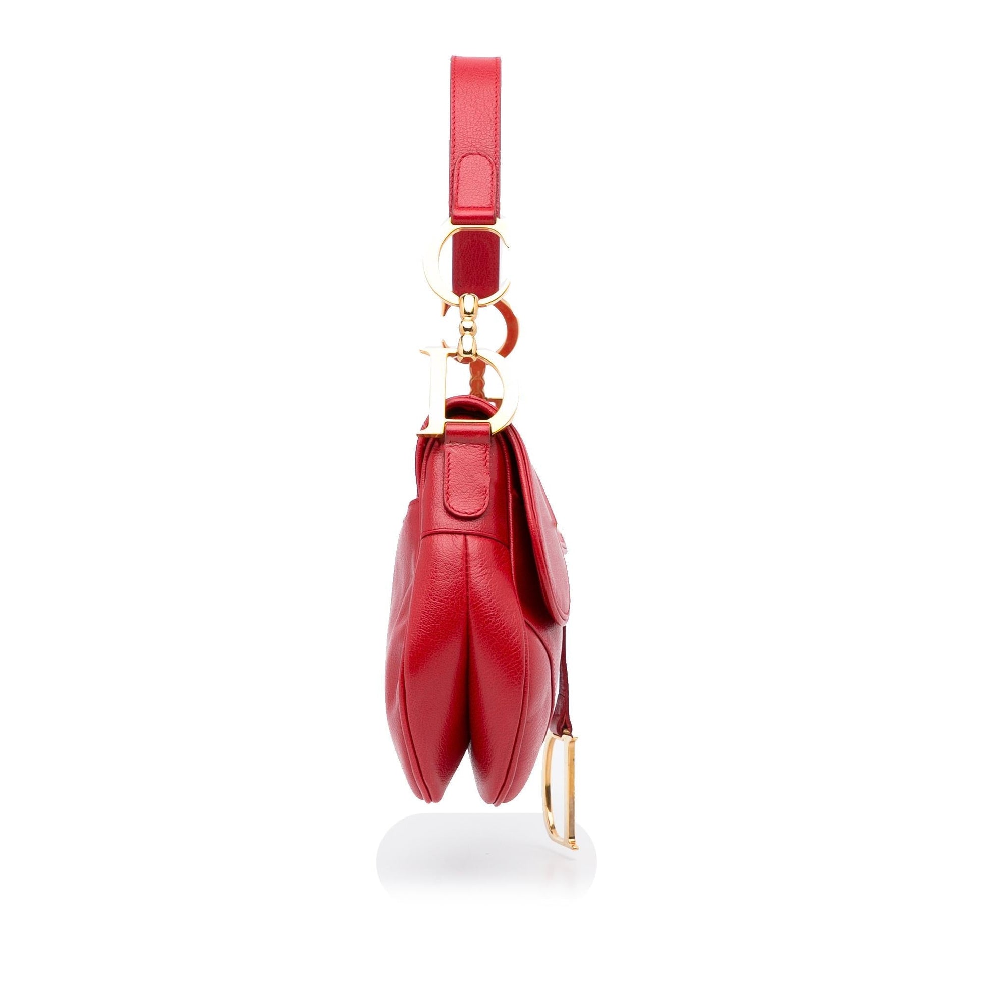 Dior Saddle Baguette Shg Evxdcw Handbag Shoulder Bag