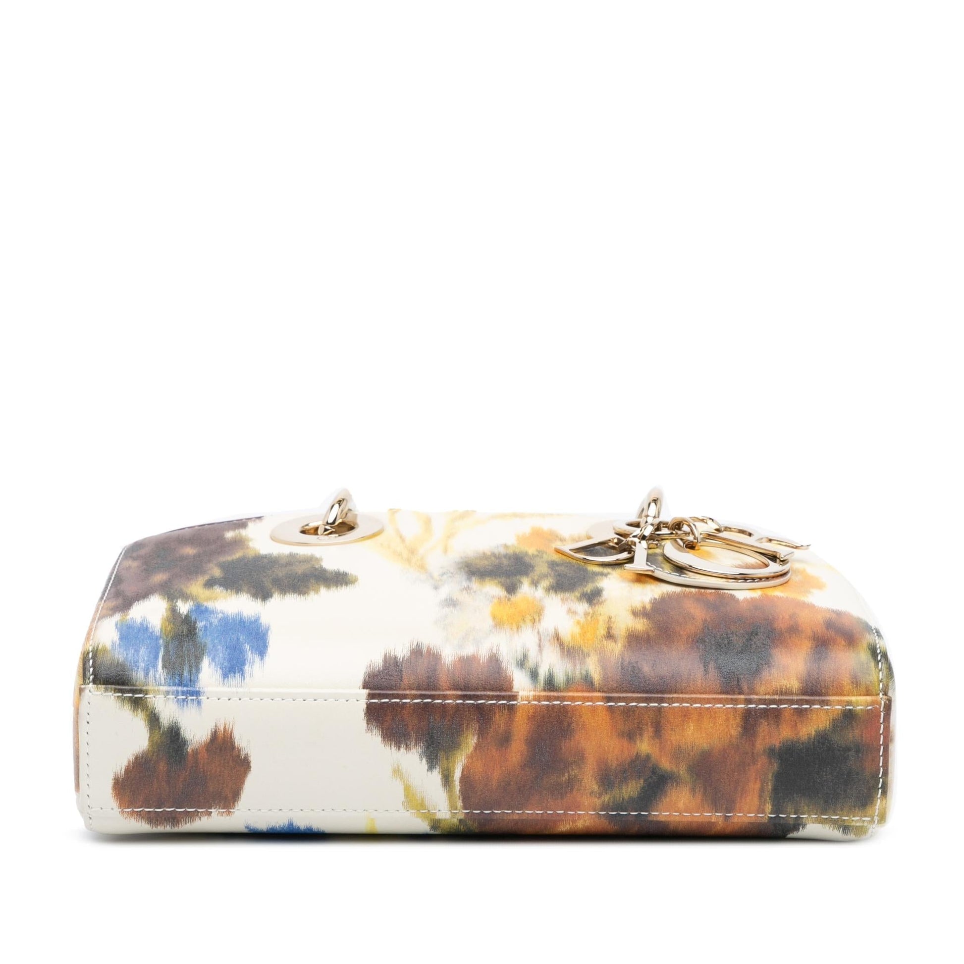 Dior Floral Print Lady Joy Satchel Bag Leather Small Lady D Joy