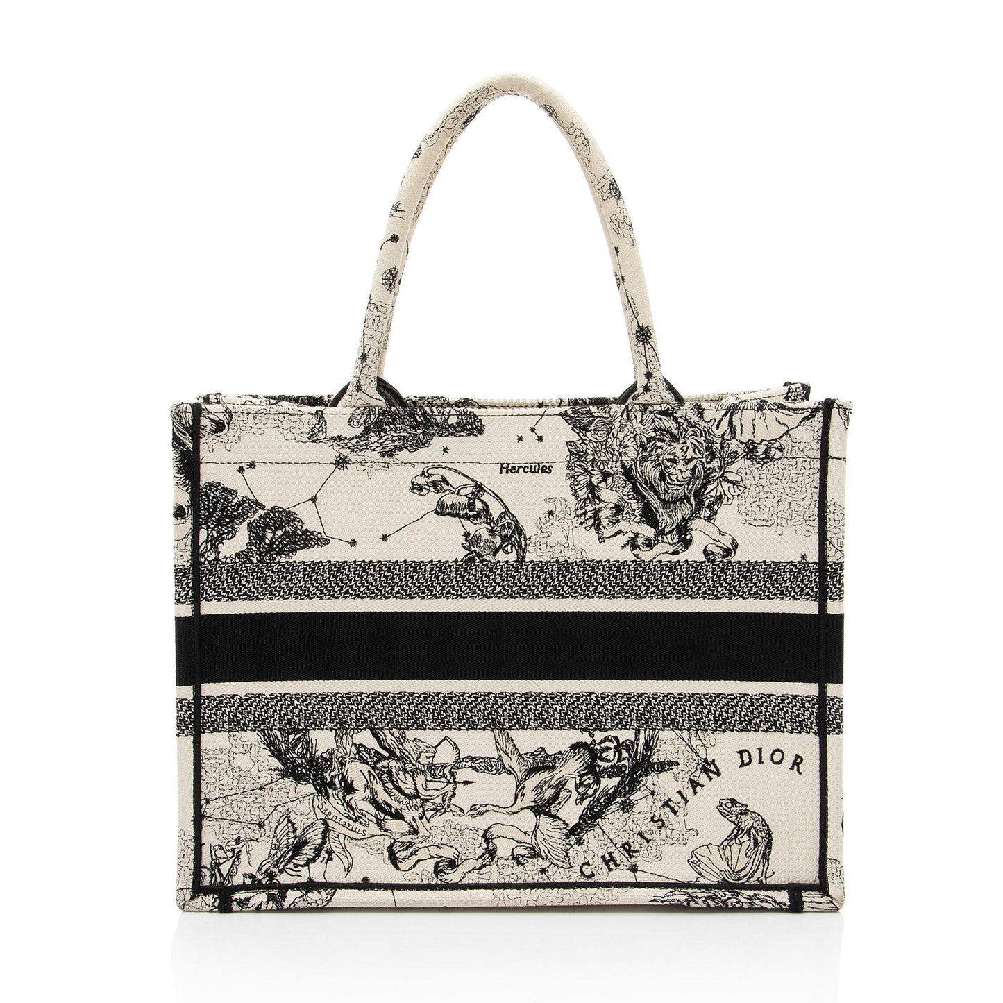 Dior Zodiac Toile De Jouy Book Tote Medium Tote Bag