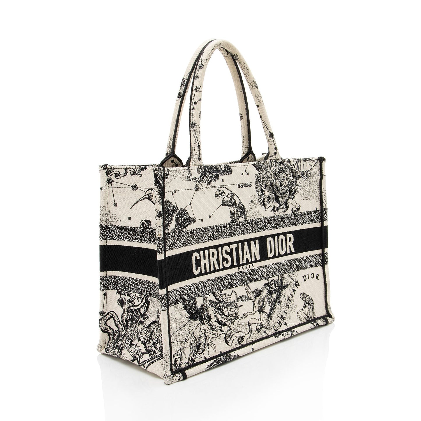 Dior Zodiac Toile De Jouy Book Tote Medium Tote Bag