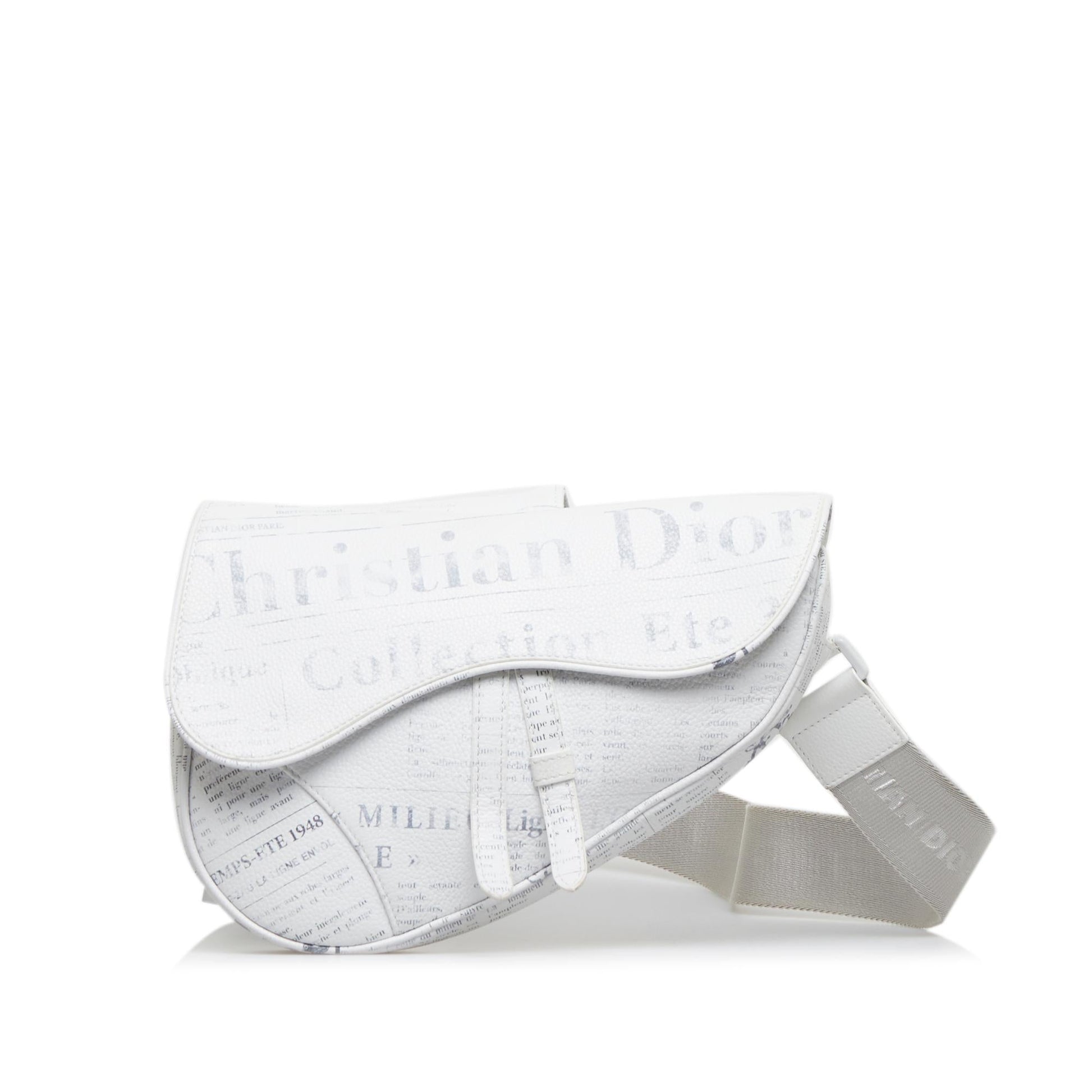 Dior Daniel Arsham Saddle Shg Orl7Q6 Crossbody Bag