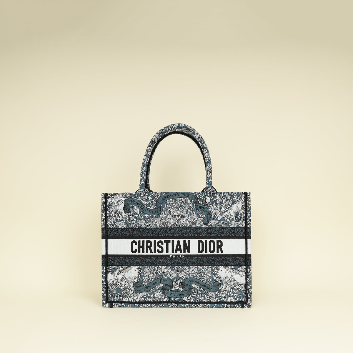 Dior Handbag Christian Tricolor "Around the World" Book Tote Medium Embroidered Tote Bag