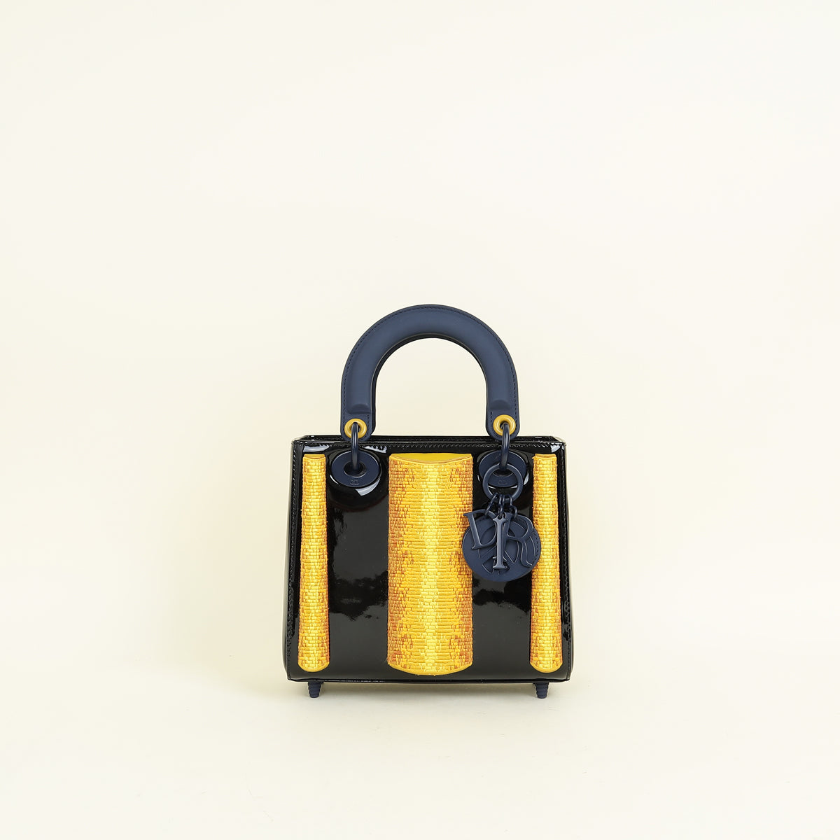 Dior Handbag Christian Tricolor L.E Zhenya Machneva’s Lady Art Small