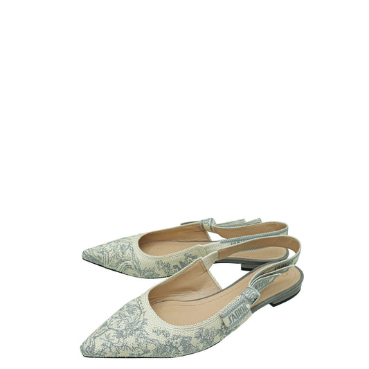 Dior Sling Bag Christian J'a Toile De Jouy Flat Shoes