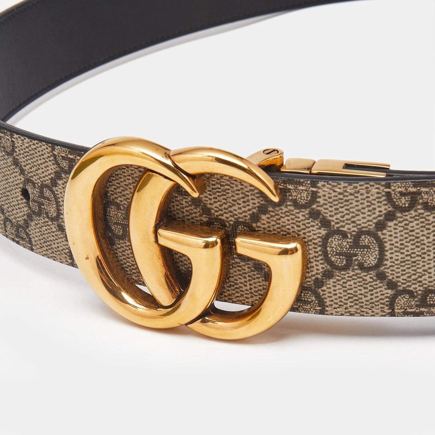 Gucci GG MARMONT Leather Canvas Belt