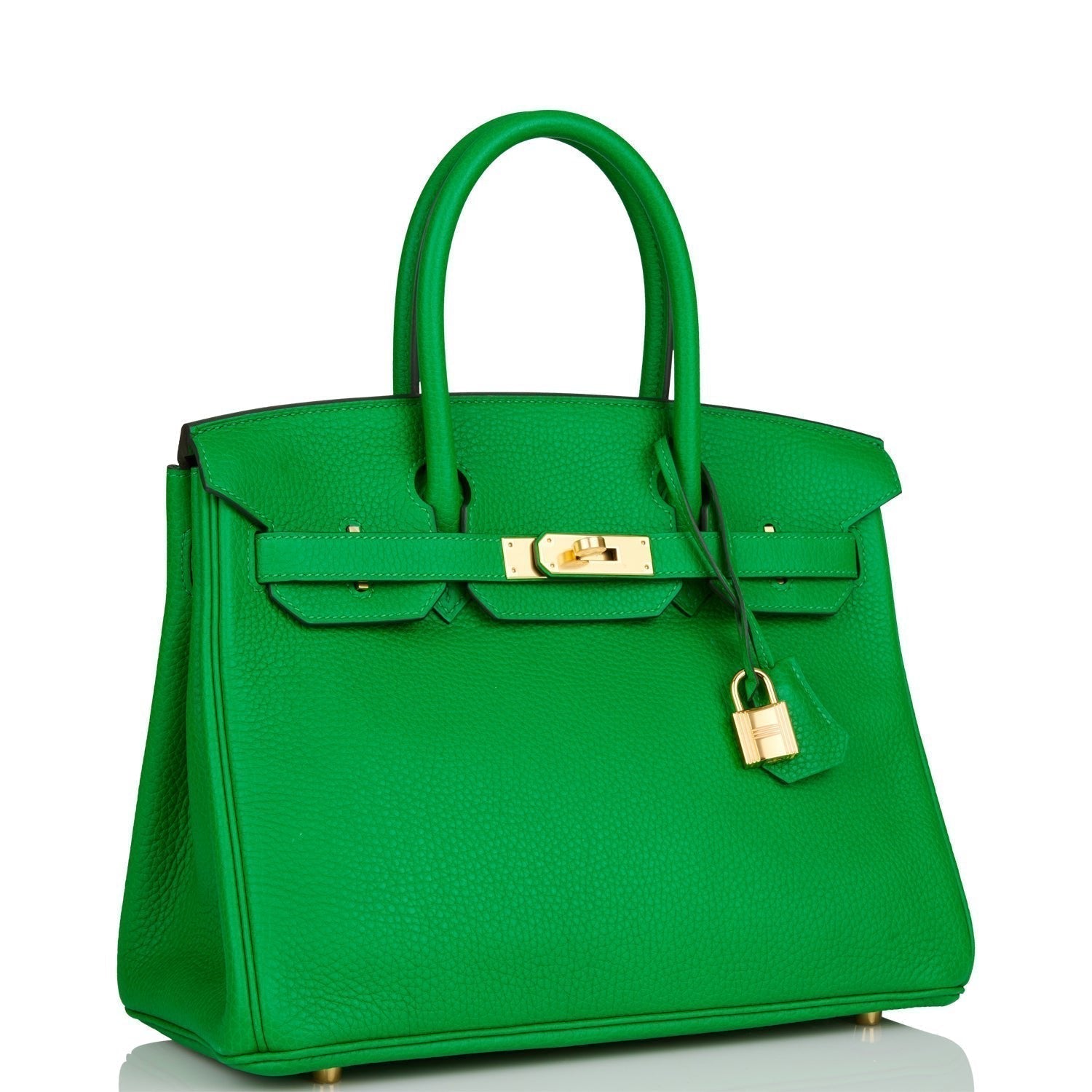 Hermes Birkin Bambou Clemence Hardware Handbag Gold Travel Bag