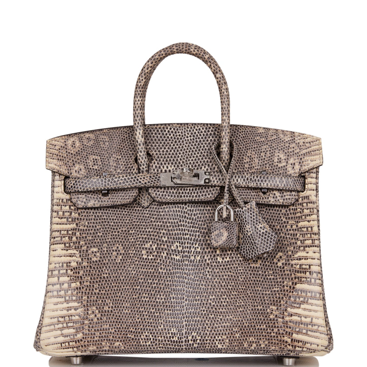 Hermes Birkin Ombre Shiny Salvator Lizard Palladium Hardware Travel Bag