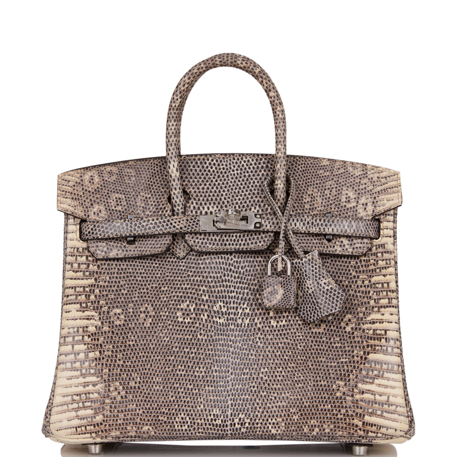 Hermes Birkin Ombre Shiny Salvator Lizard Palladium Hardware Travel Bag