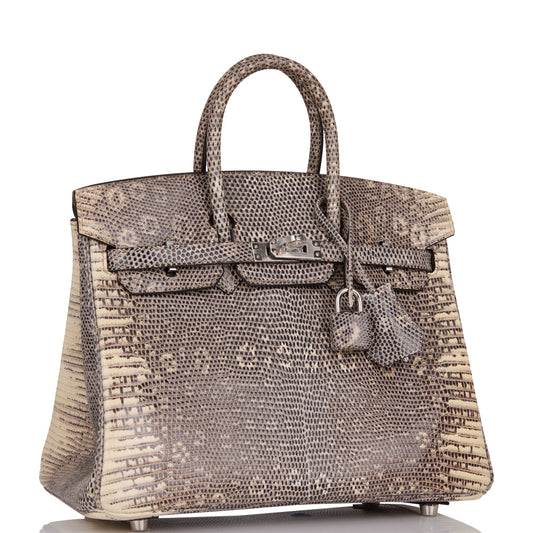 Hermes Birkin Ombre Shiny Salvator Lizard Palladium Hardware Travel Bag