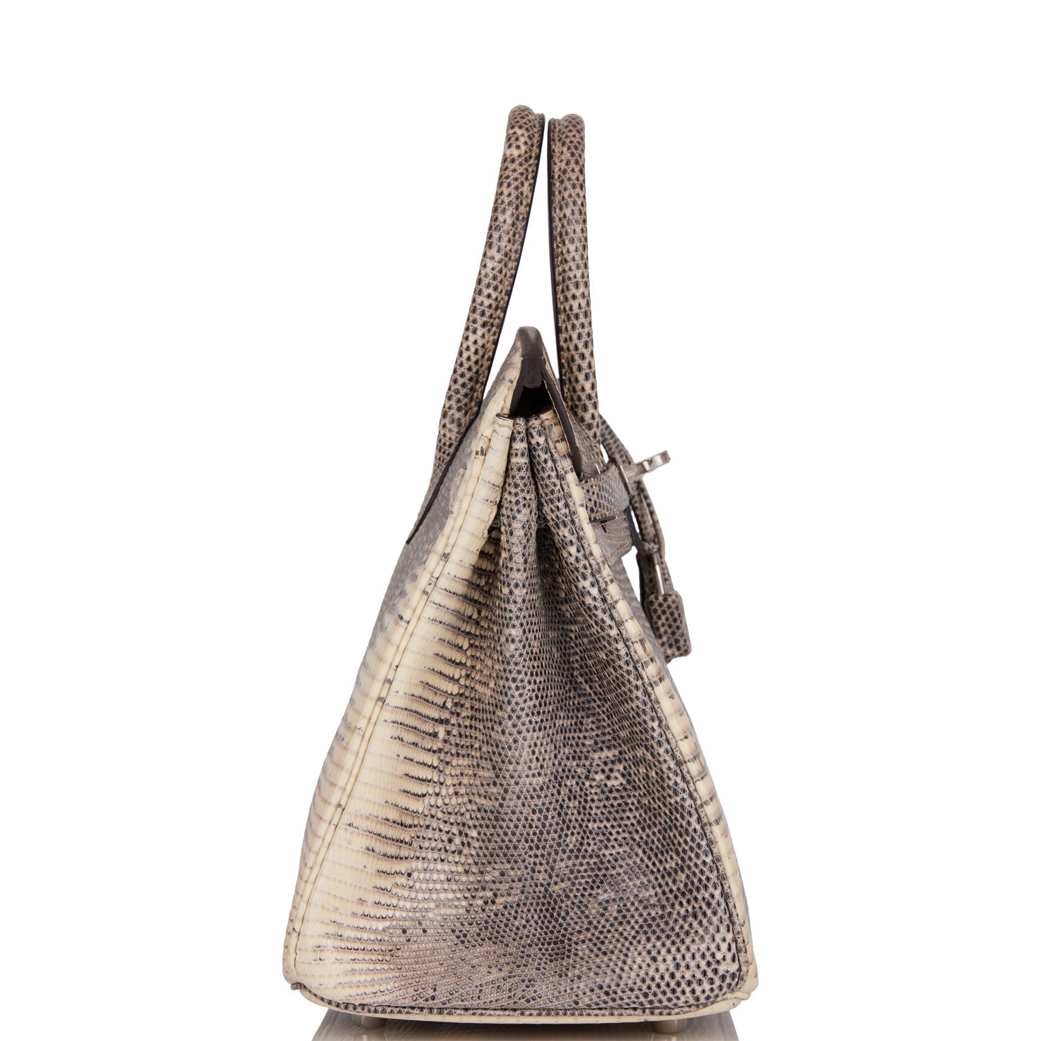 Hermes Birkin Ombre Shiny Salvator Lizard Palladium Hardware Travel Bag