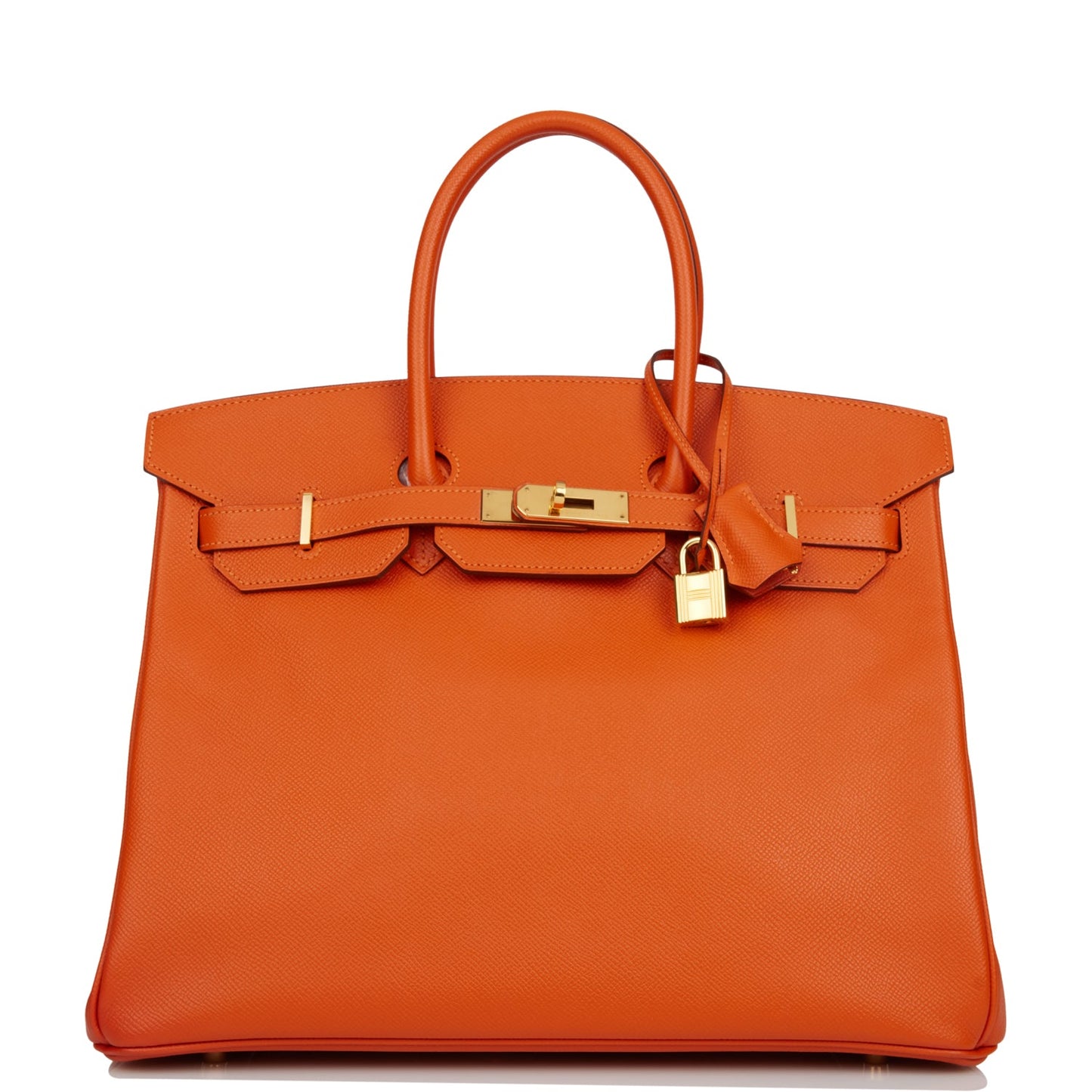 Hermes Birkin Mangue Epsom Hardware Handbag Gold Travel Bag Gold Hardware