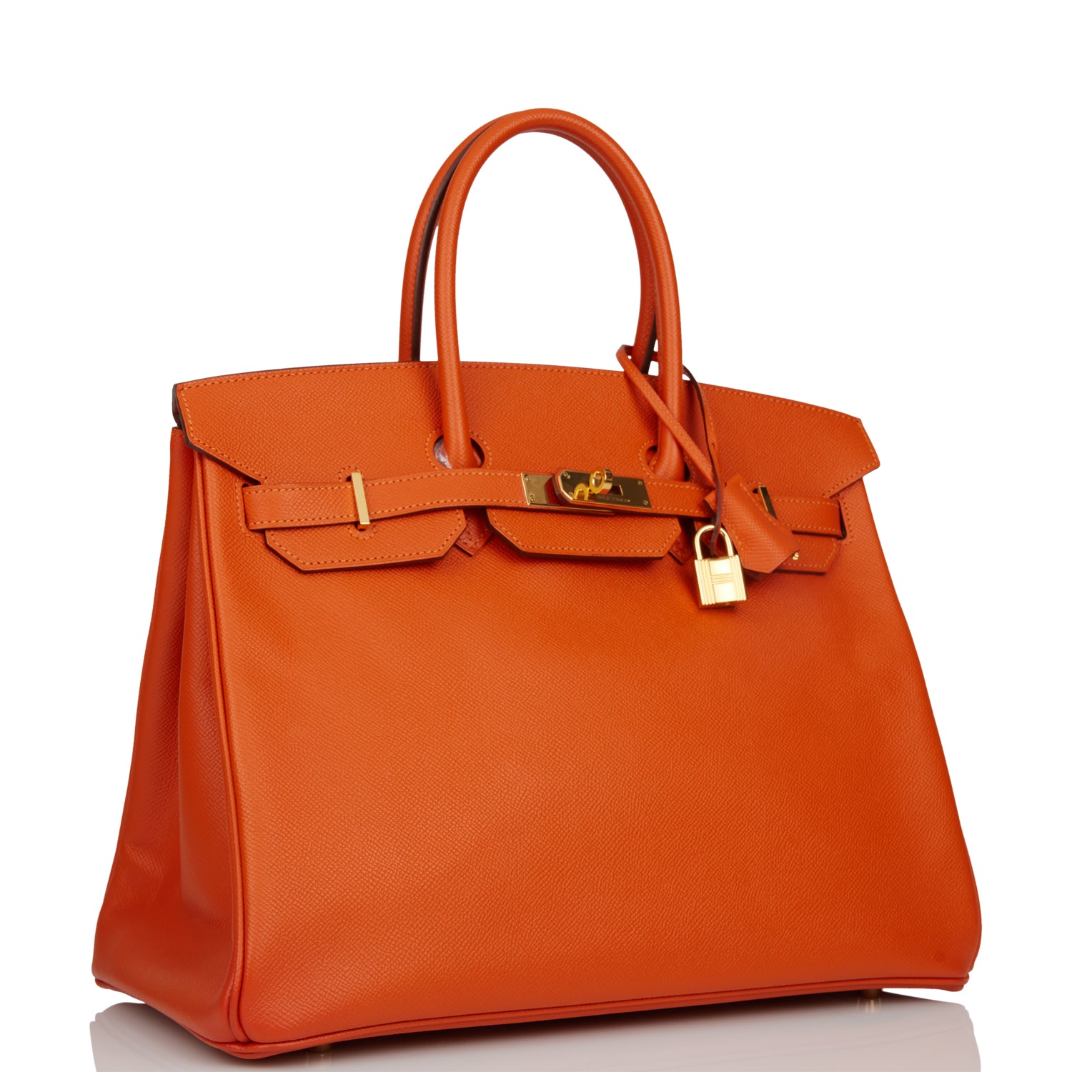 Hermes Birkin Mangue Epsom Hardware Handbag Gold Travel Bag Gold Hardware 2