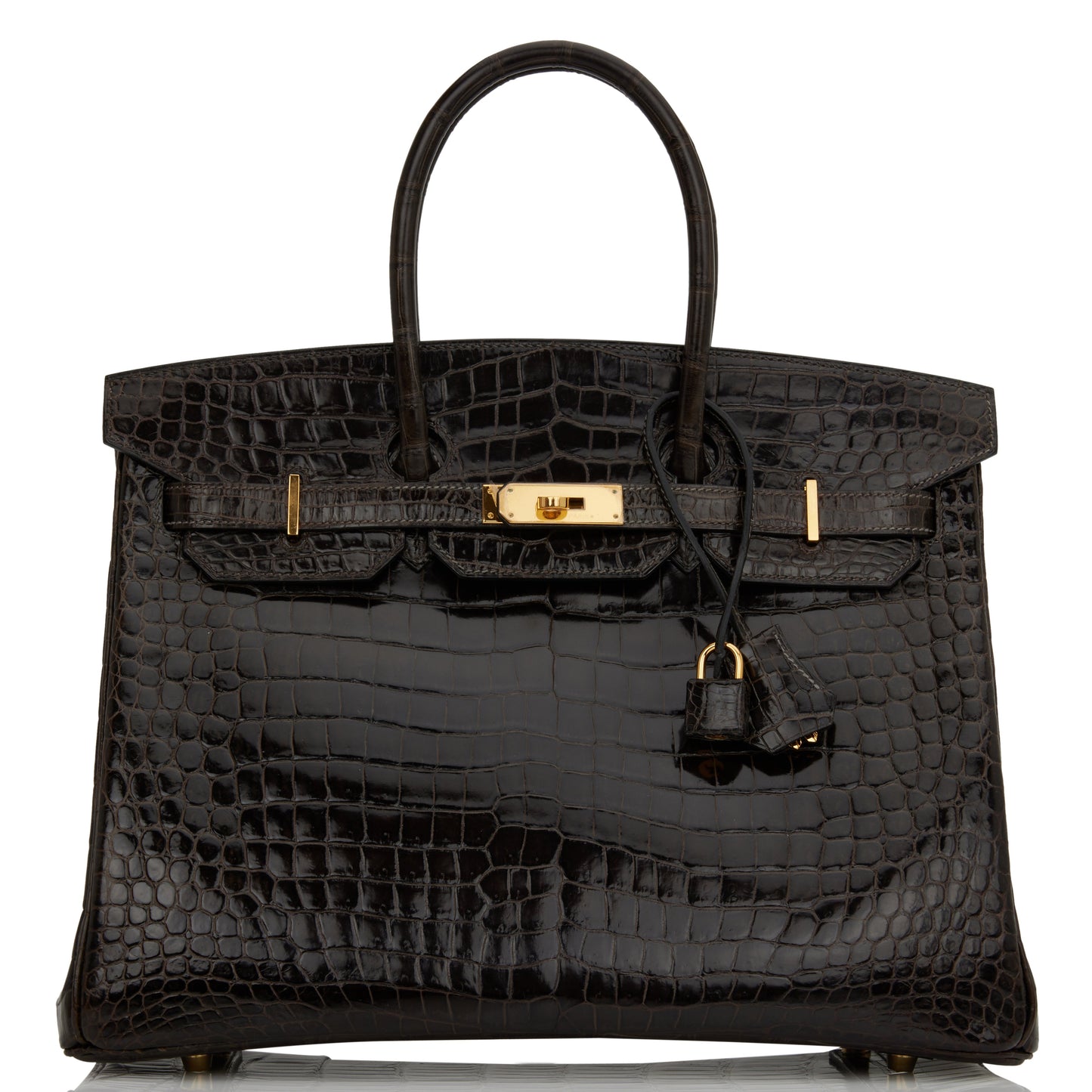 Hermes Birkin Graphite Shiny Porosus Crocodile Hardware Handbag Gold Travel Bag