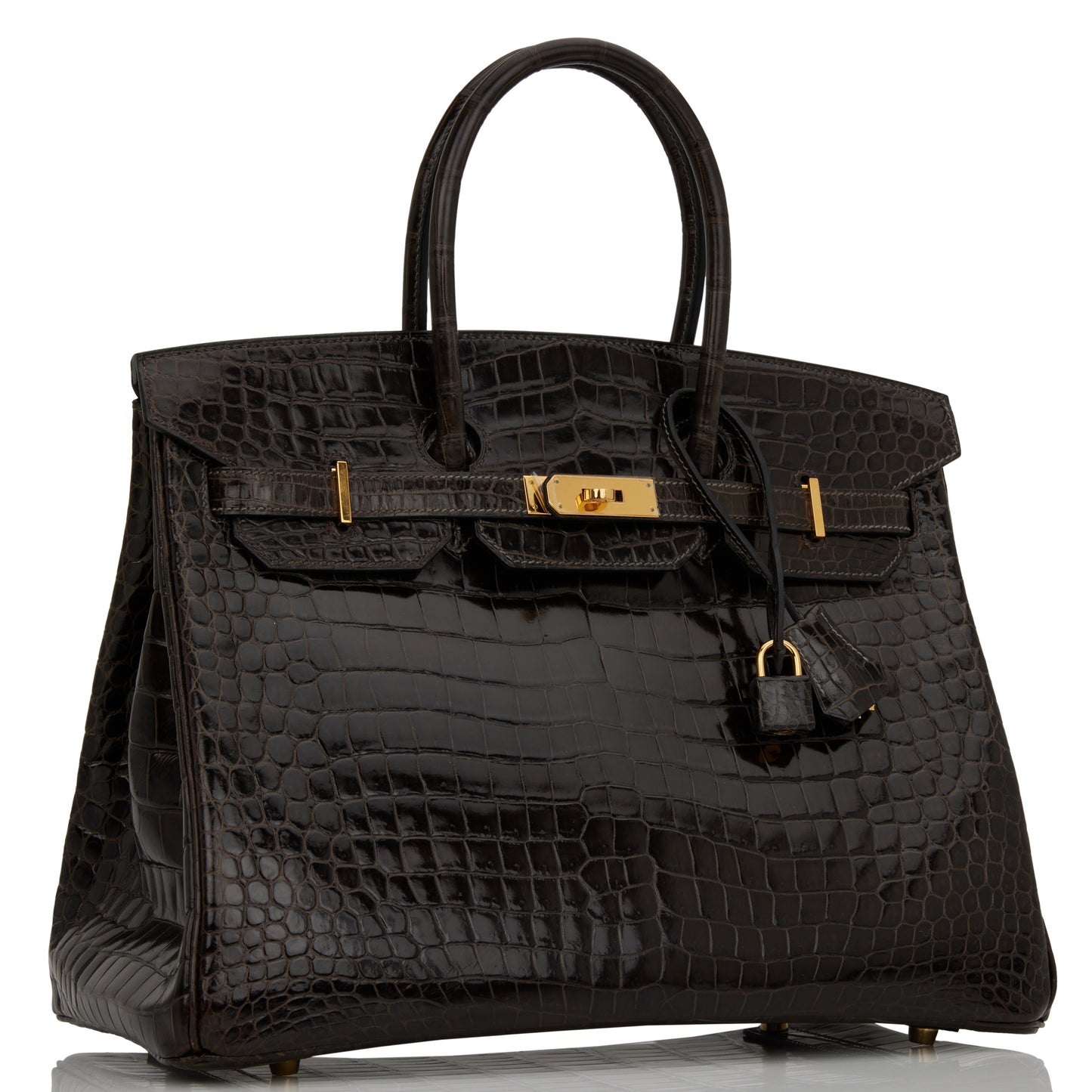 Hermes Birkin Graphite Shiny Porosus Crocodile Hardware Handbag Gold Travel Bag