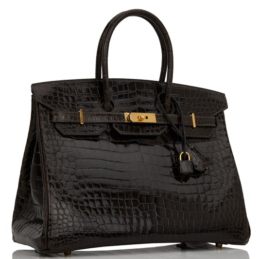 Hermes Birkin Graphite Shiny Porosus Crocodile Hardware Handbag Gold Travel Bag