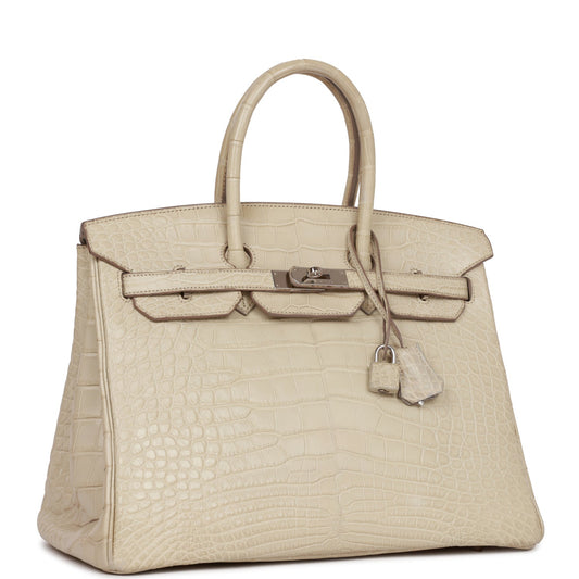 Hermes Birkin Beton Matte Alligator Palladium Hardware Handbag Travel Bag