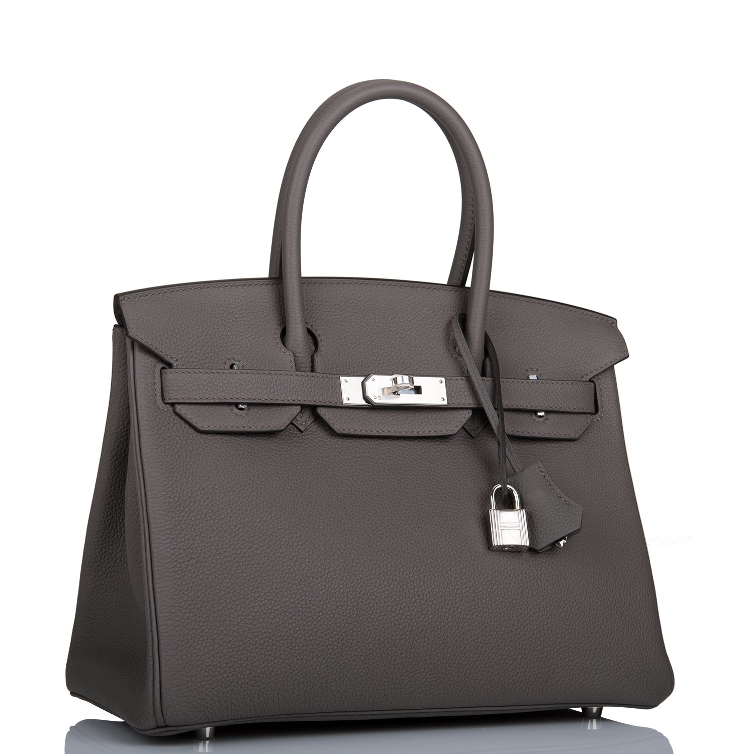 Hermes Birkin Etain Togo Palladium Hardware Handbag Travel Bag