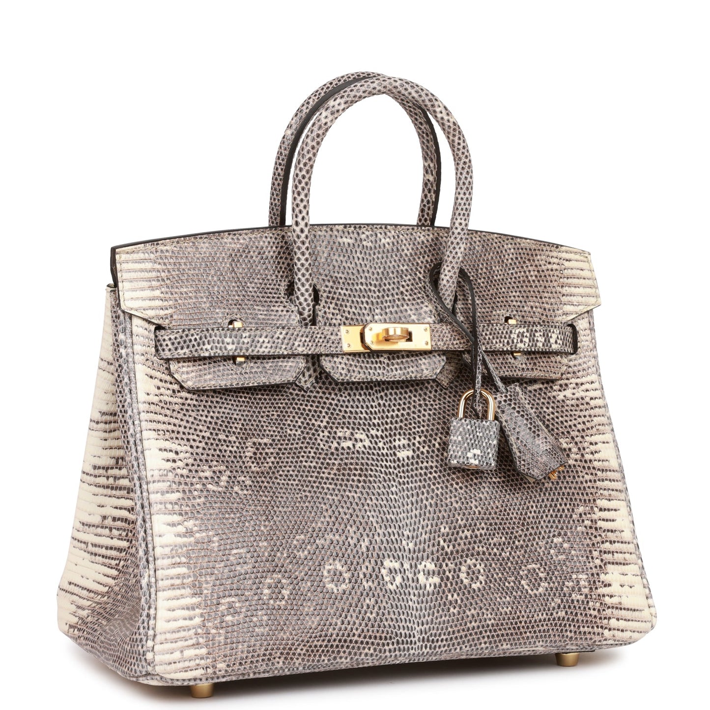 Hermes Birkin Ombre Shiny Salvator Lizard Hardware Handbag Gold Travel Bag