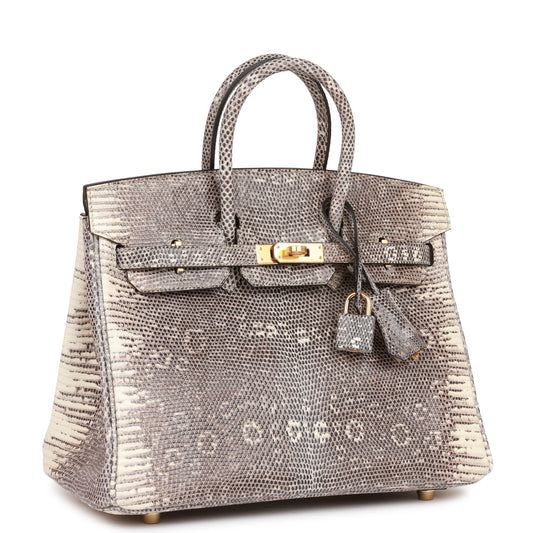 Hermes Birkin Ombre Shiny Salvator Lizard Hardware Handbag Gold Travel Bag