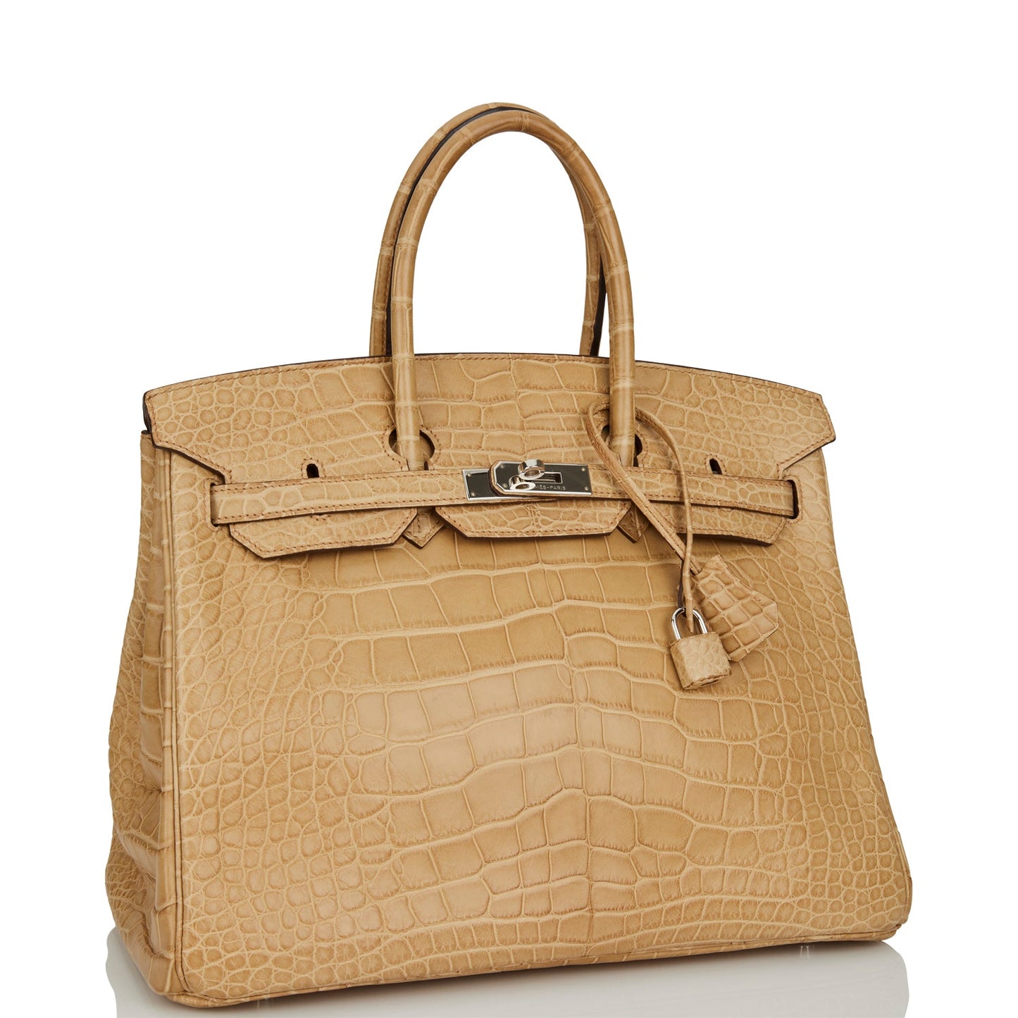 Hermes Birkin Poussiere Matte Alligator Palladium Hardware Handbag Travel Bag