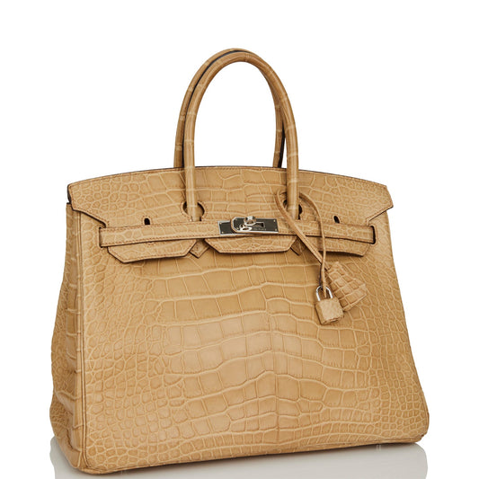 Hermes Birkin Poussiere Matte Alligator Palladium Hardware Handbag Travel Bag