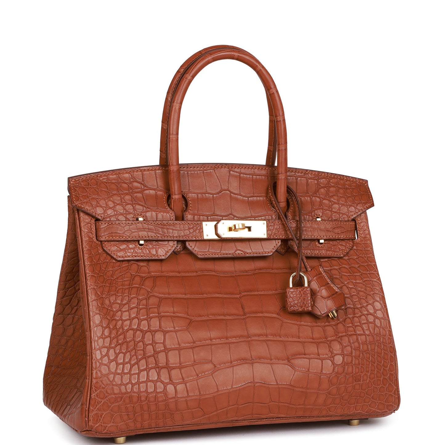 Hermes Birkin Matte Alligator Hardware Handbag Gold Travel Bag