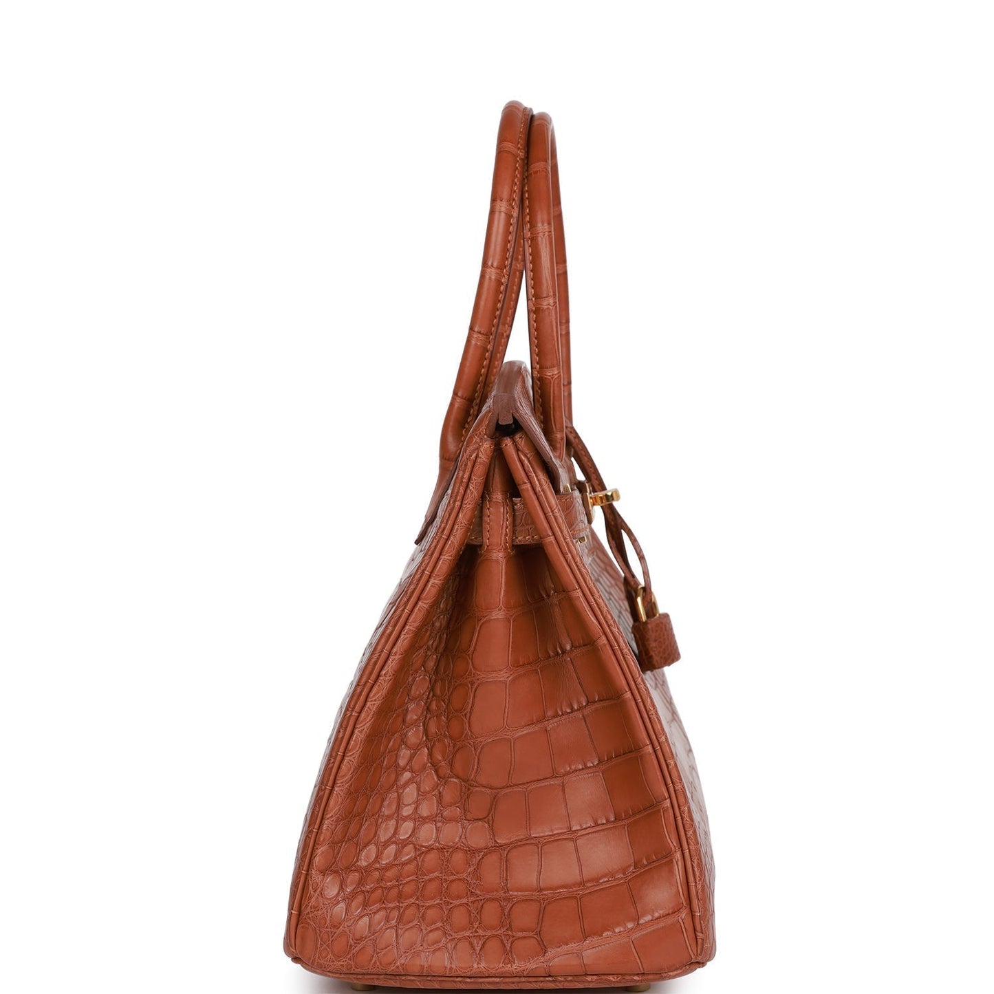 Hermes Birkin Matte Alligator Hardware Handbag Gold Travel Bag