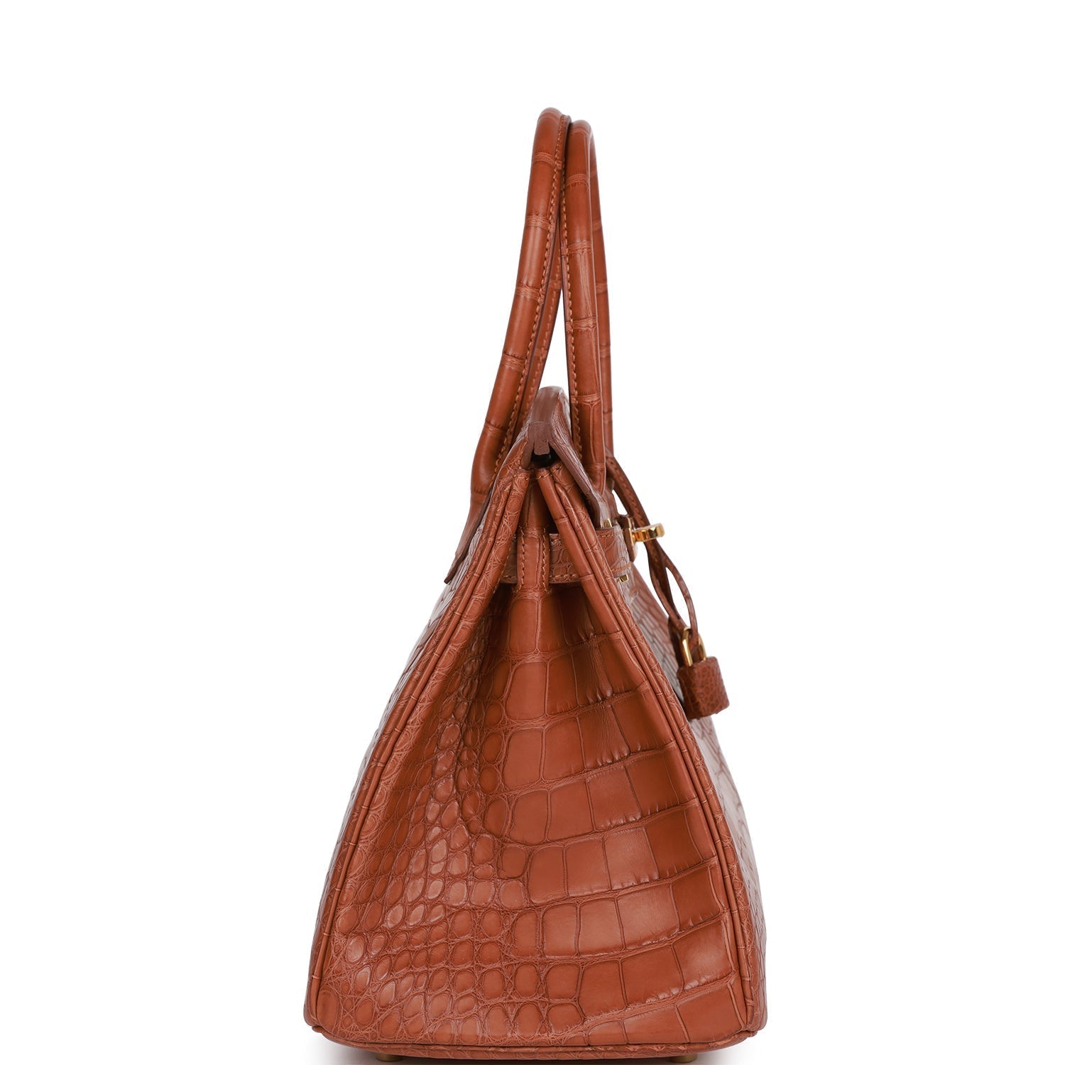 Hermes Birkin Matte Alligator Hardware Handbag Gold Travel Bag