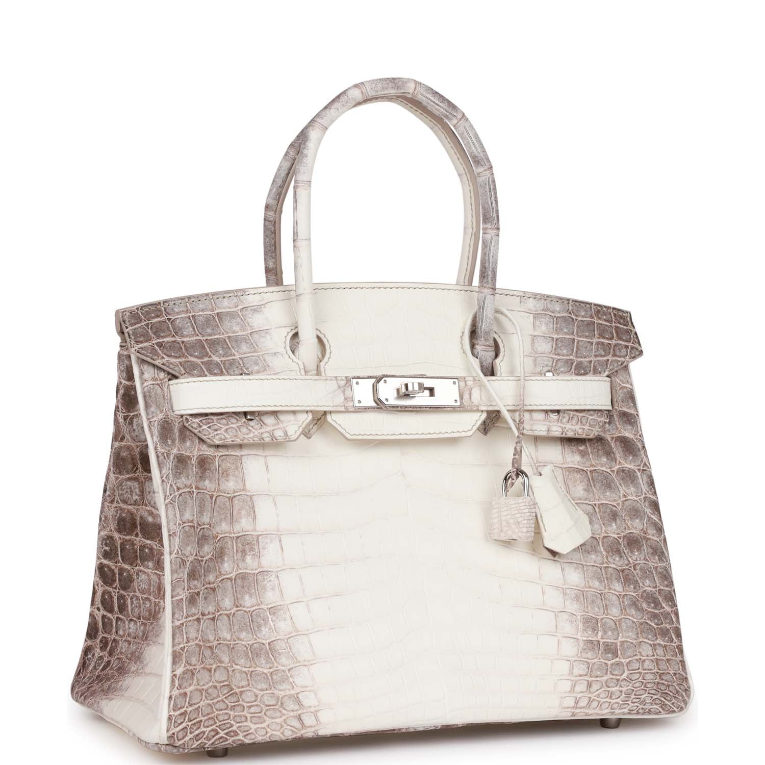 Hermes Birkin Himalaya Niloticus Crocodile Palladium Hardware Handbag Travel Bag Hardware 3