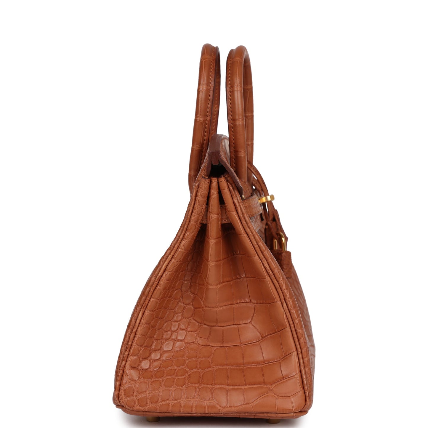 Hermes Birkin Matte Alligator Hardware Handbag Gold Travel Bag