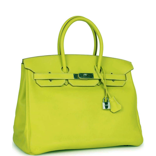 Hermes Birkin Kiwi Swift Palladium Hardware Handbag Travel Bag
