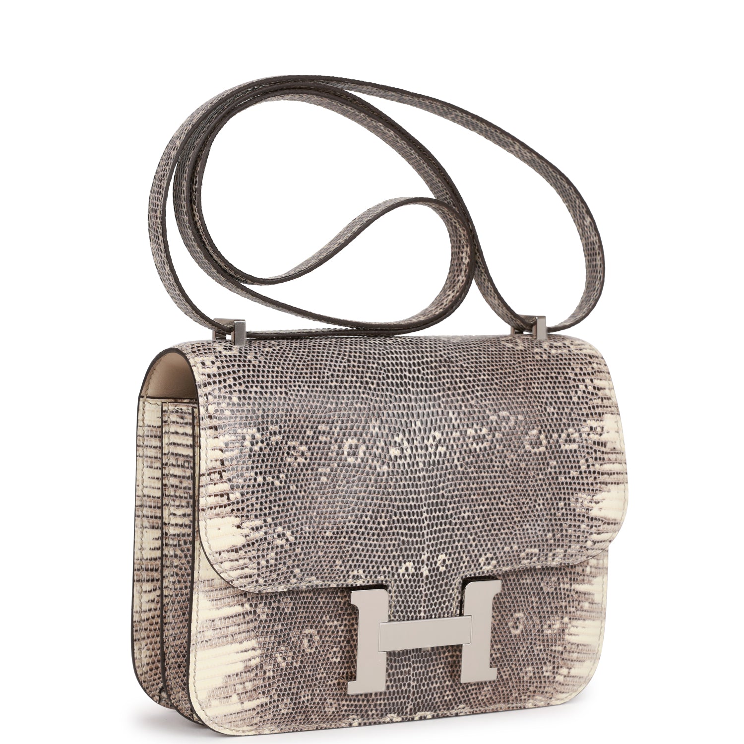 Hermes Constance Ombre Lizard Varanus Palladium Hardware Handbag Mini Travel Bag