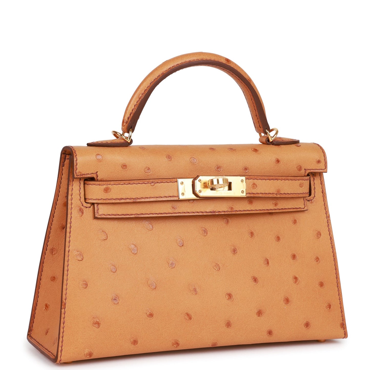 Hermes Kelly Sellier Ostrich Hardware Handbag Gold Travel Bag