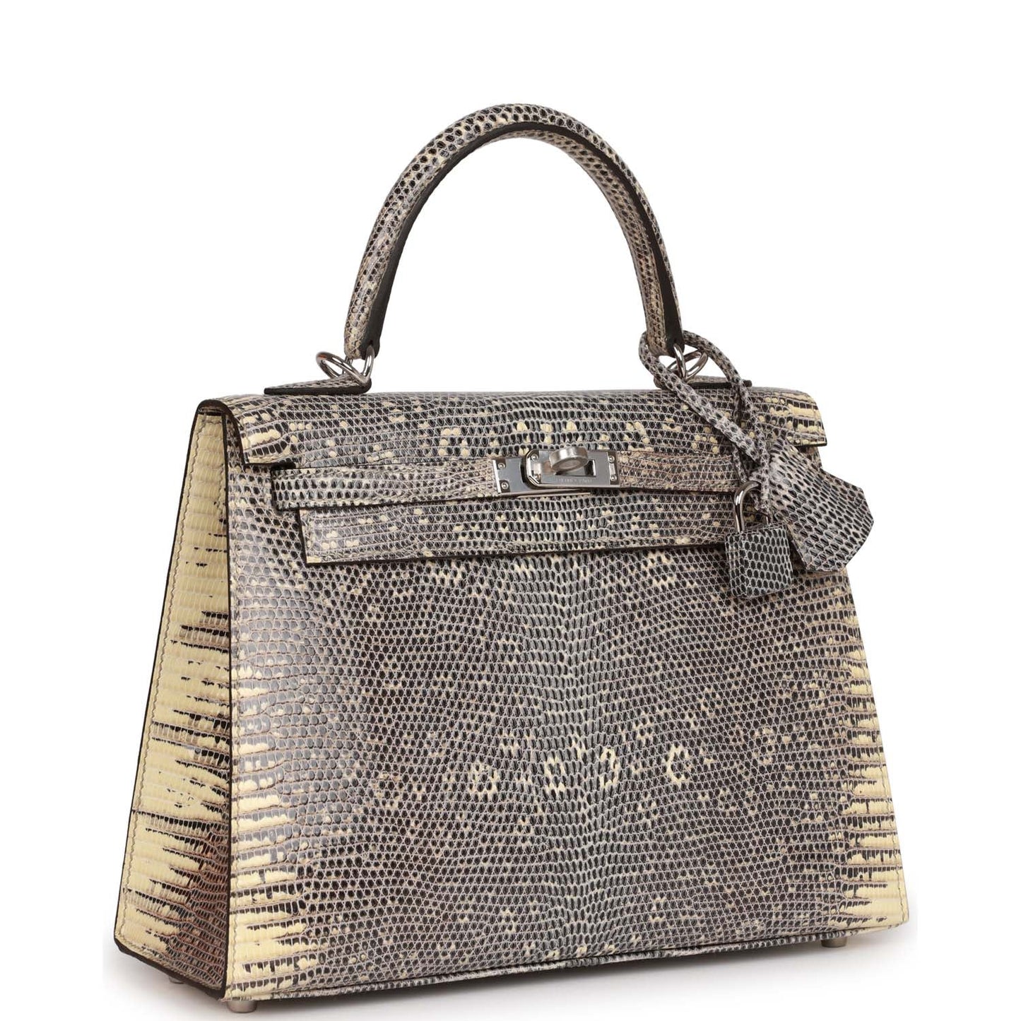 Hermes Kelly Sellier Ombre Veranus Salvator Lizard Palladium Travel Bag