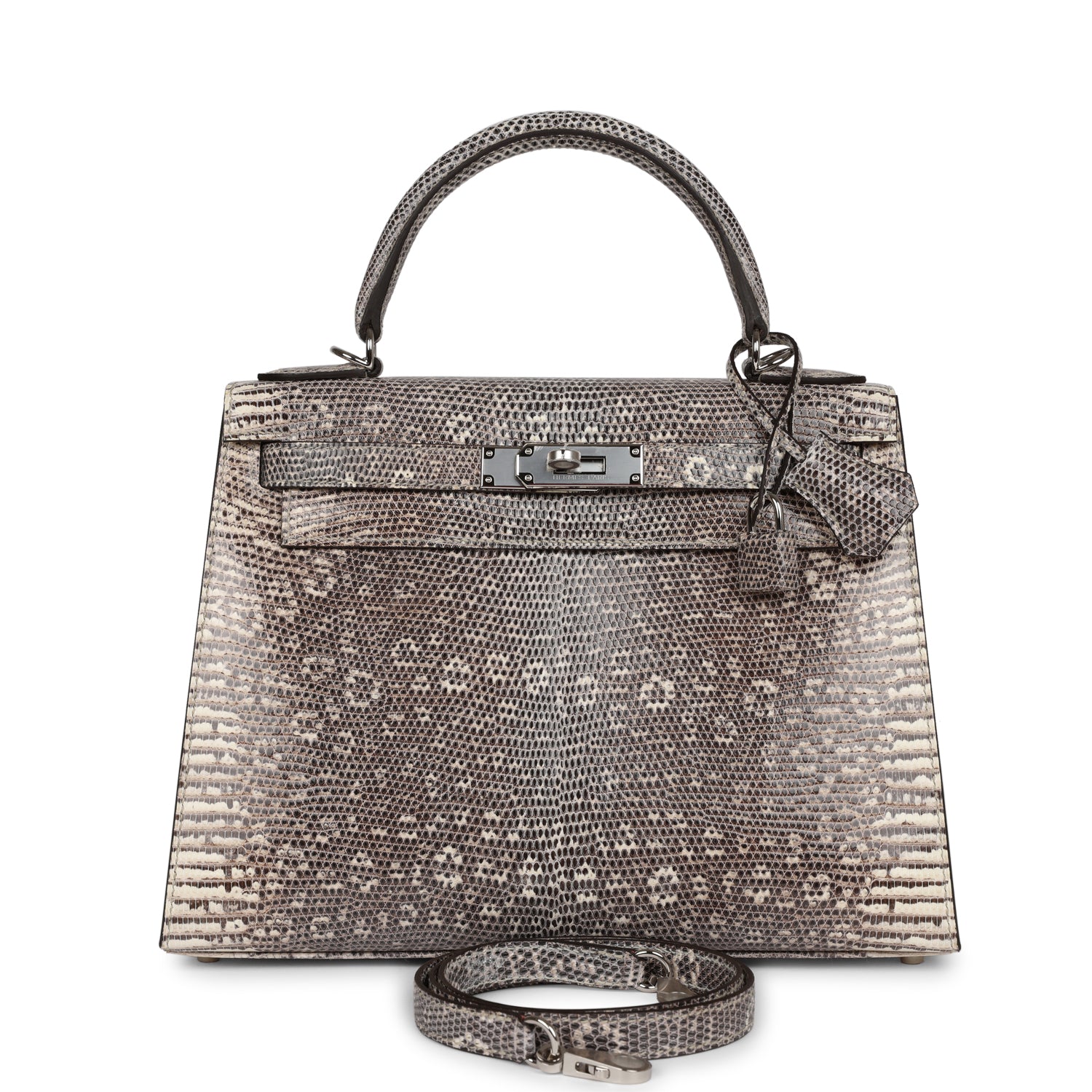 Hermes Kelly Sellier Ombre Veranus Salvator Lizard Palladium Hardware Travel Bag