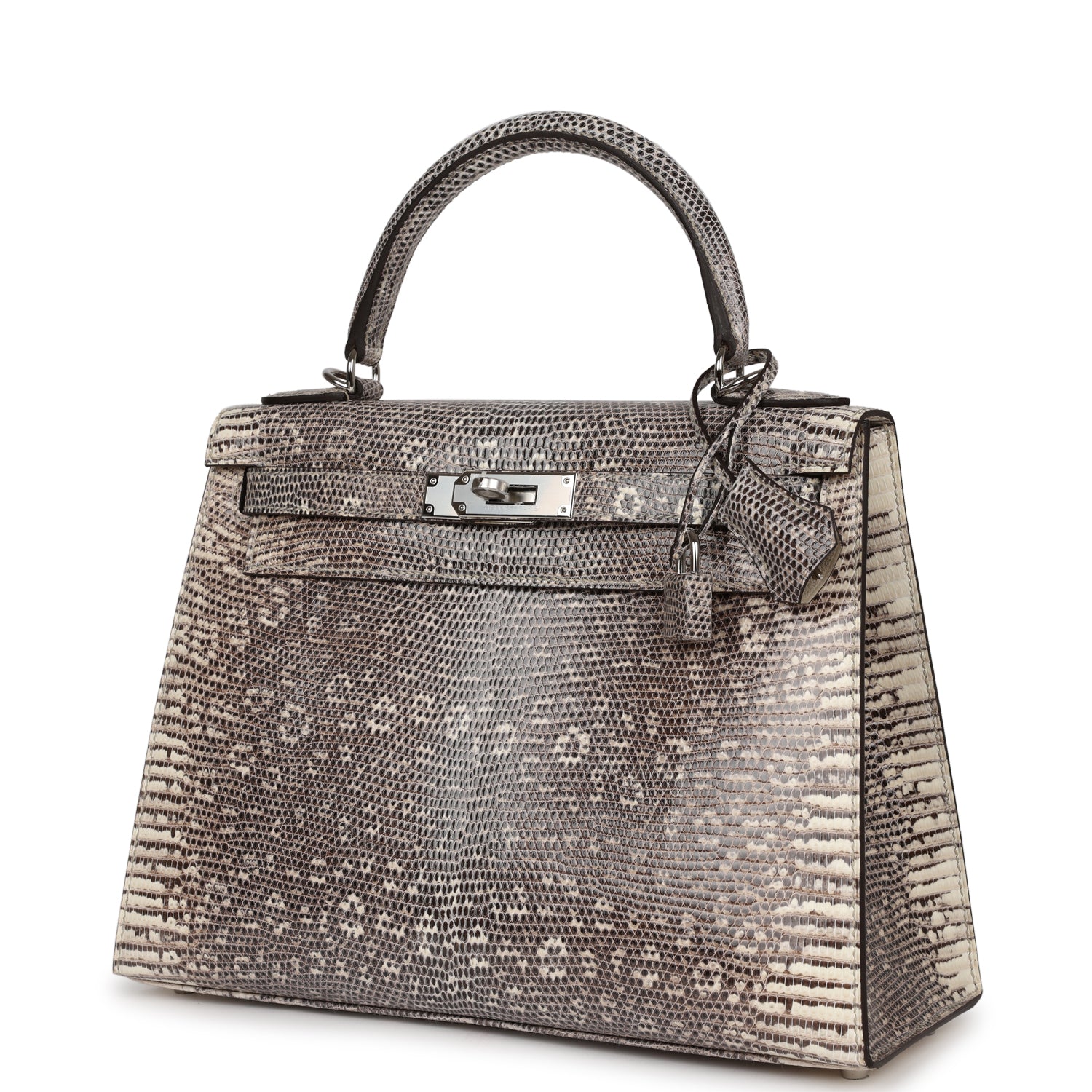 Hermes Kelly Sellier Ombre Veranus Salvator Lizard Palladium Hardware Travel Bag