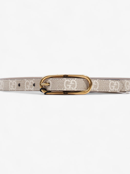 Gucci Jackie Thin Belt And Supreme Coated Handbag Canvas White Accessory
