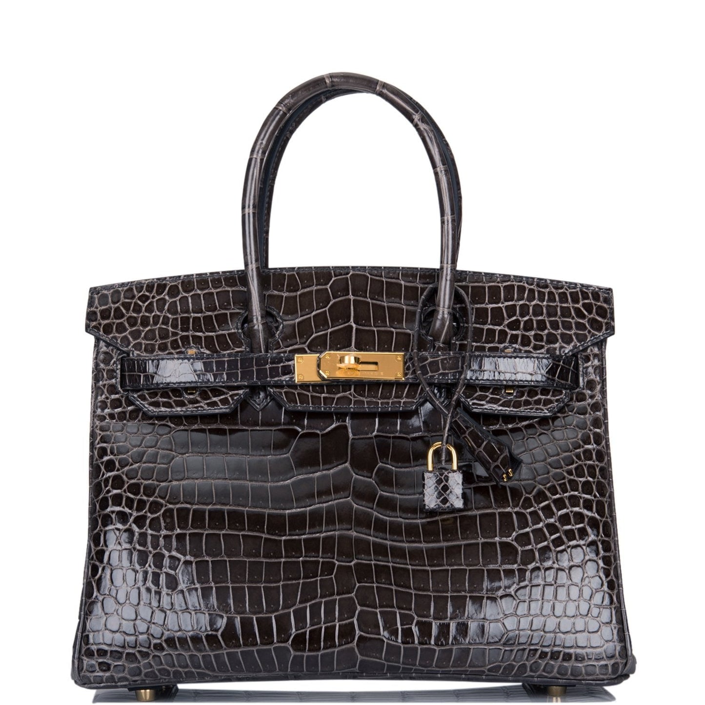 Hermes Birkin Graphite Shiny Porosus Crocodile Hardware Handbag Gold Travel Bag Gold Hardware
