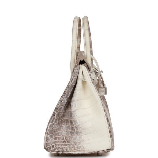Hermes Birkin Himalaya Niloticus Crocodile Diamond Encrusted Hardware Handbag Travel Bag